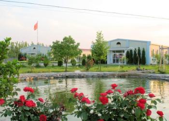 WUHU DAYI SPORTS GOODS CO., LTD