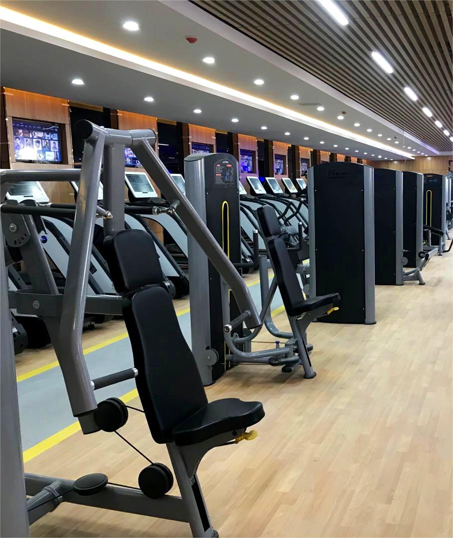 Commercial and Home Gym Fitness Equipment Steel Pin-Loaded Bicep Machine for Chest Back Shoulder Leg Training