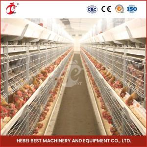 Wholesale Hot Galvanized Broiler Transport Cage Silver Color Durable Reliable Mia from china suppliers
