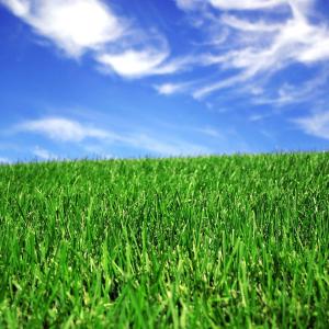 Wholesale 50mm Landscaping Synthetic Artificial Grass For Football Court from china suppliers