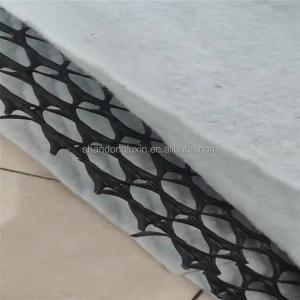 Wholesale Black White 3D Geocomposite Drainage Net for CE/ISO9001/ISO14001 Certified Landscaping from china suppliers