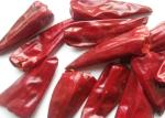 A Grade Guajillo Yidu Chili Red Pepper Beijinghong Jinta Chilli Golden Factory
