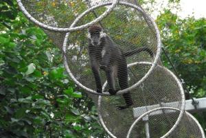 Wholesale Stainless Steel Wire Rope Mesh for monkey from china suppliers