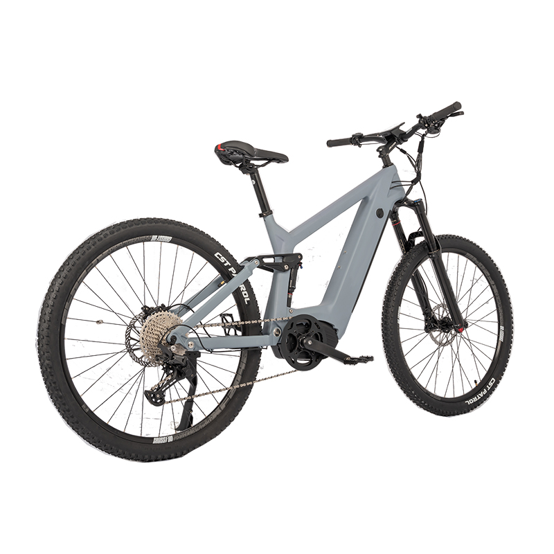 APT 860C Color Display 48V Mountain Fatbike Electric Motorcycles for Adult by DOMANCA