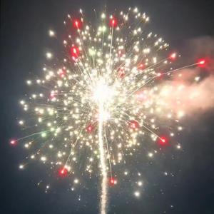 Wholesale Customized Pyrotechnics Cake Fireworks Salute For New Year Celebration 2023 from china suppliers