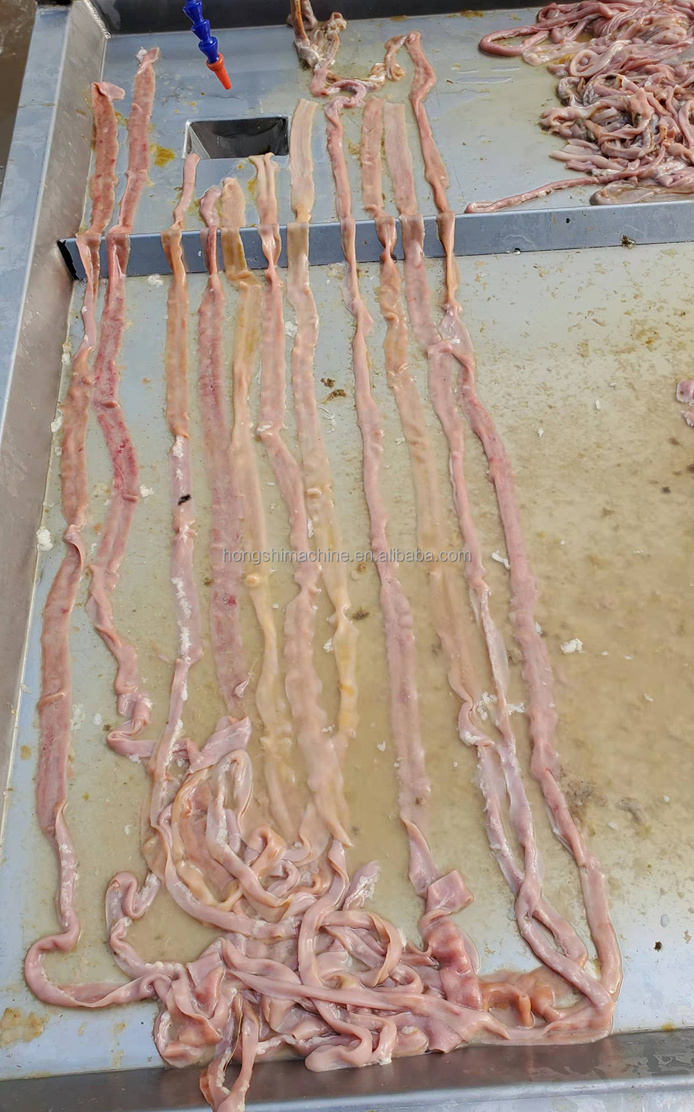 Stainless Steel Duck Intestine Cutting Washing Machine/Poultry Pork Small Intestine Chicken Cutter Machine