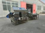 Industrial 304 Stainless Steel Onion Peeling Machine with 3 kW Power and 380V