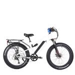 48V500W Drive Most Attractive Aluminum Alloy Frame Electric Commuter Bike for