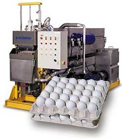 Large Output Egg Box Forming Machine Waste Paper Tray Packaging