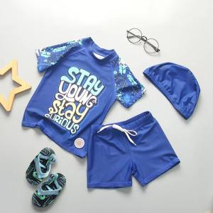 Wholesale Carton Picture Boys Swimwear Sets Nylon Split Boys Swimming Suit With Hat UPF50++ from china suppliers