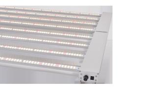 Wholesale IP65 AC 277V Led Grow Lights Horticulture from china suppliers