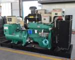 1000/1250kw diesel gengerator cummins engine generator manufacturer for mine and