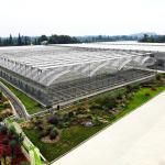 Durable Hot Dip Galvanized Steel Multi-span Plastic Film Agricultural Greenhouse
