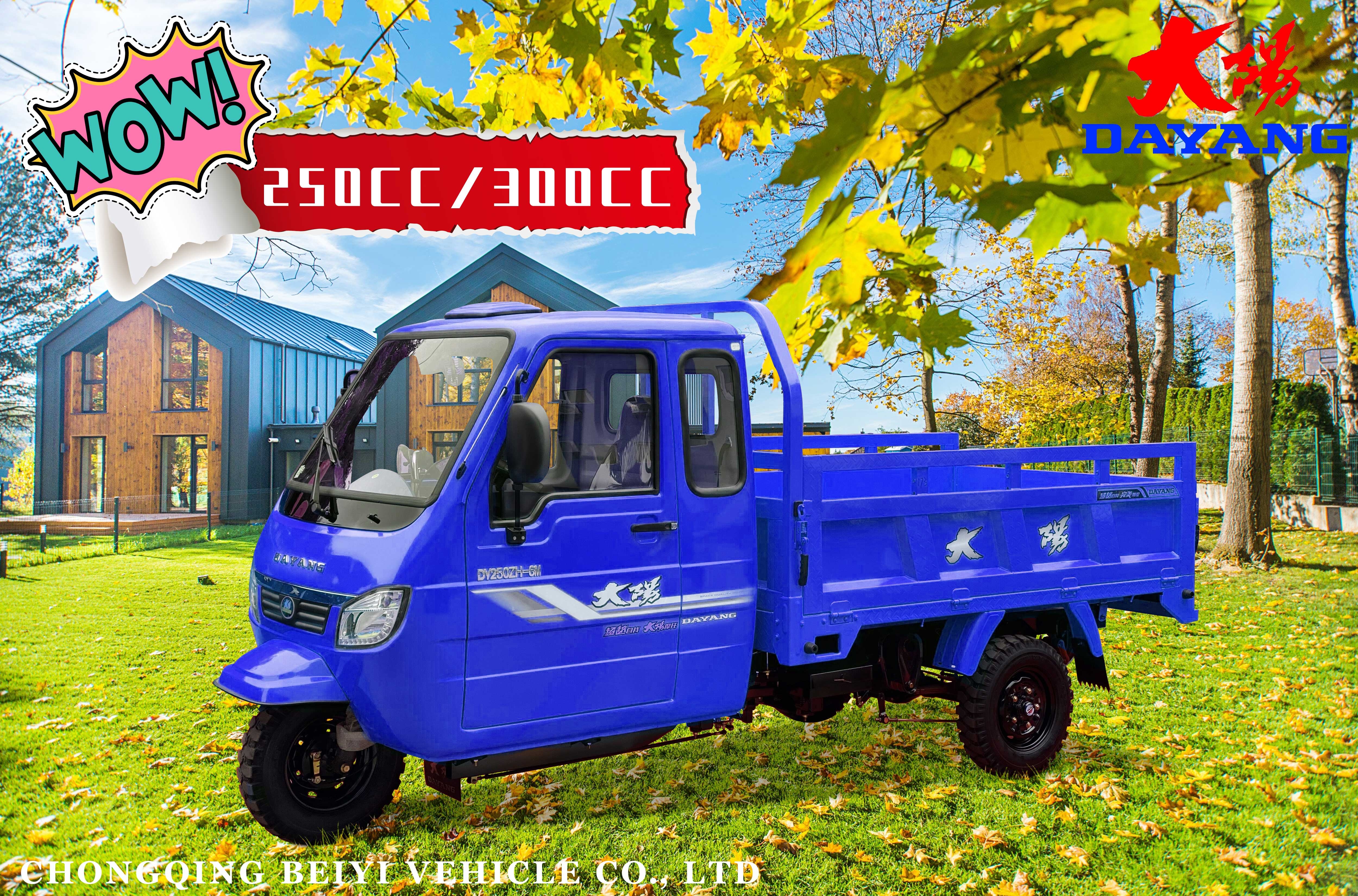 Experience the Power of ≥25° Grade Ability Gas Motorcycle Tricycles 250cc Displacement