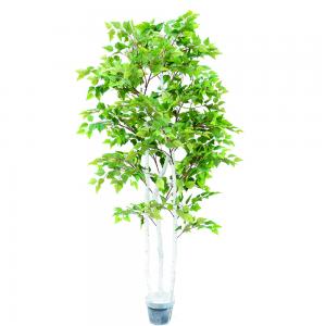 China Ornamental Plant Artificial Radermachera Sinica Natural Greening For Home Decoration on sale