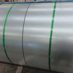 Hot Cold Rolled 304 201 316 316L 2205 2507 904L 430 Stainless Steel Coils