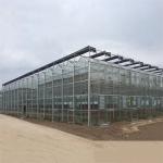 UV Protection Venlo Greenhouse Tent High Customizable