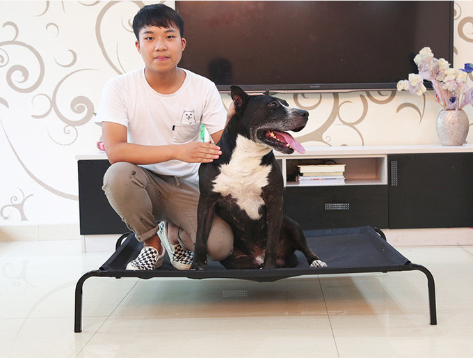Removable And Washable Mesh Pet Camp Bed Dog Steel Frame Bed Moisture-Proof