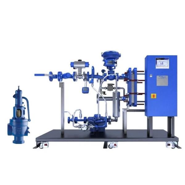 Spirax Sarco High-Performance Safety Valves SV604/SV607 for Optimal Industrial
