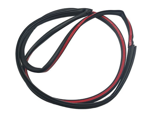 8663782 for Auto Parts Door Sealing Strip Right Rear