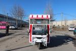 Electric Lightweight Wasp 3-wheeled Food Truck CE Certified and 3-wheeled Design