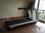 Commercial Treadmill