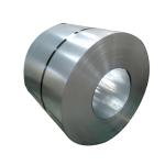 Stainless Steel Coil Strip Seamless Alloy Steel Pipe with Payment 30%TT 70%TT /