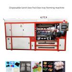 Plastic Used Thermoforming Machines Container For Making Disposable Food Plates