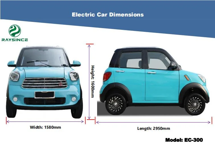 Raysince New Design Adult Electric Car with Right Hand Drive Steering