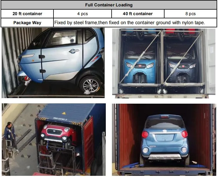 Hot Sell China Manufacture Electric Adult Raysince Mini Three Wheel Electric Car with EEC