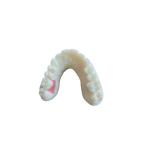 Digital Oral Scanning PFM Dental Crowns Bridge Implantology Demands