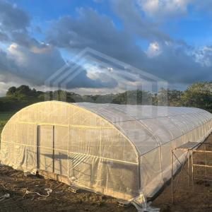 Wholesale Agriculture Plants Growing Tunnel Greenhouse Sale Online 20m Tunnel Single-span Greenhouse from china suppliers