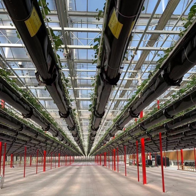 Multi Shading Screen Glass Greenhouse Hydroponics