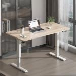 Office Metal Stainless Steel Electric Sit Stand Desk with Motorized Height
