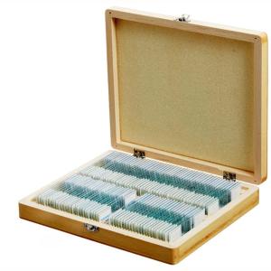 Wholesale ODM 100pcs Wooden Box Glass Slide Biology As Children Educational Toys from china suppliers