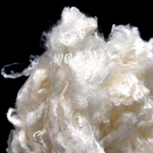Wholesale UV Proof Viscose Staple Fiber , 100% Natural Bamboo Fiber 2Dx51mm from china suppliers