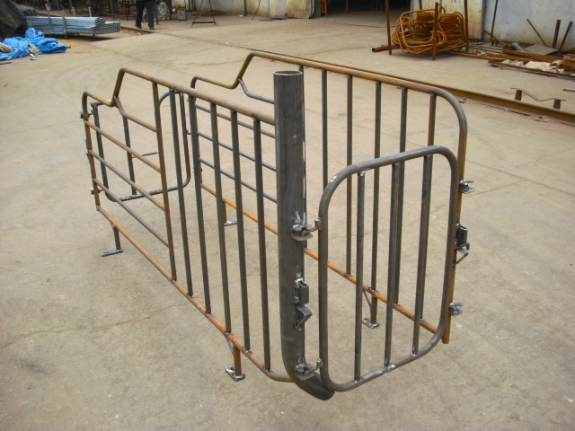 Smooth Surface Swine Gestation Stalls , Pig Breeding Equipment Light Structure