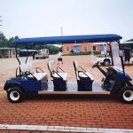 Customization 6 Person Golf Cart Electric Golf Buggy With 3.5kw-6kw Motor Power