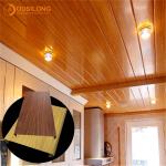 Waterproof Decorative Suspended Metal Ceiling C shaped / Rectangle strip Metal