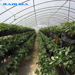 Wholesale Agricultural Plastic Film Greenhouse Simple Structure Easily installed from china suppliers