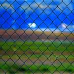 Metal 6 Feet Chain Link Mesh Fencing Hot Dip Galvanized Pvc Coated