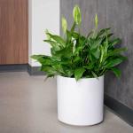 Customized Fiberglass Flower Plant Pots Round For Indoor Plants