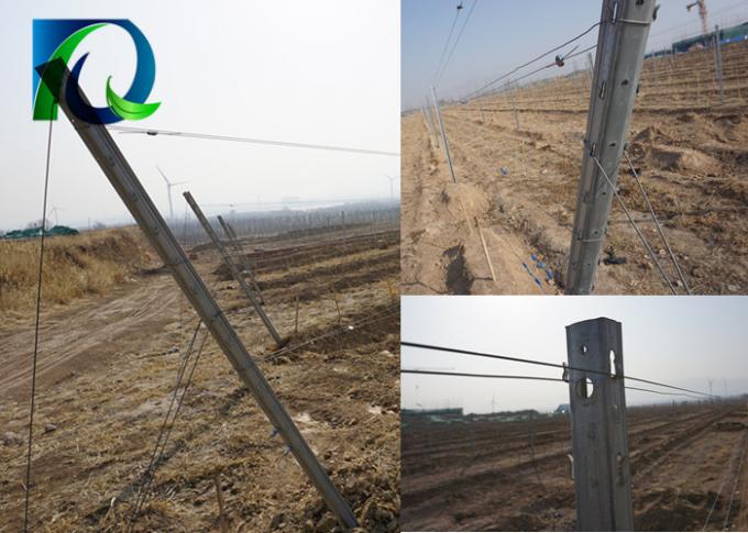 Eco Friendly Vineyard Fence Posts / Orchard Post With Accessories Weather Resistance