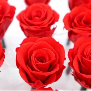 Wholesale 2020 New Year Love Gift Preserved Rose Flower Wedding Souvenirs For Guest from china suppliers
