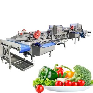 Wholesale Diced Onions 2000kg/H Fruit Vegetable Washing Machine from china suppliers