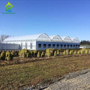 Wholesale Glass Cover Blackout Multi Span Greenhouse Gutter Connect Strawberry Plant Greenhouse from china suppliers