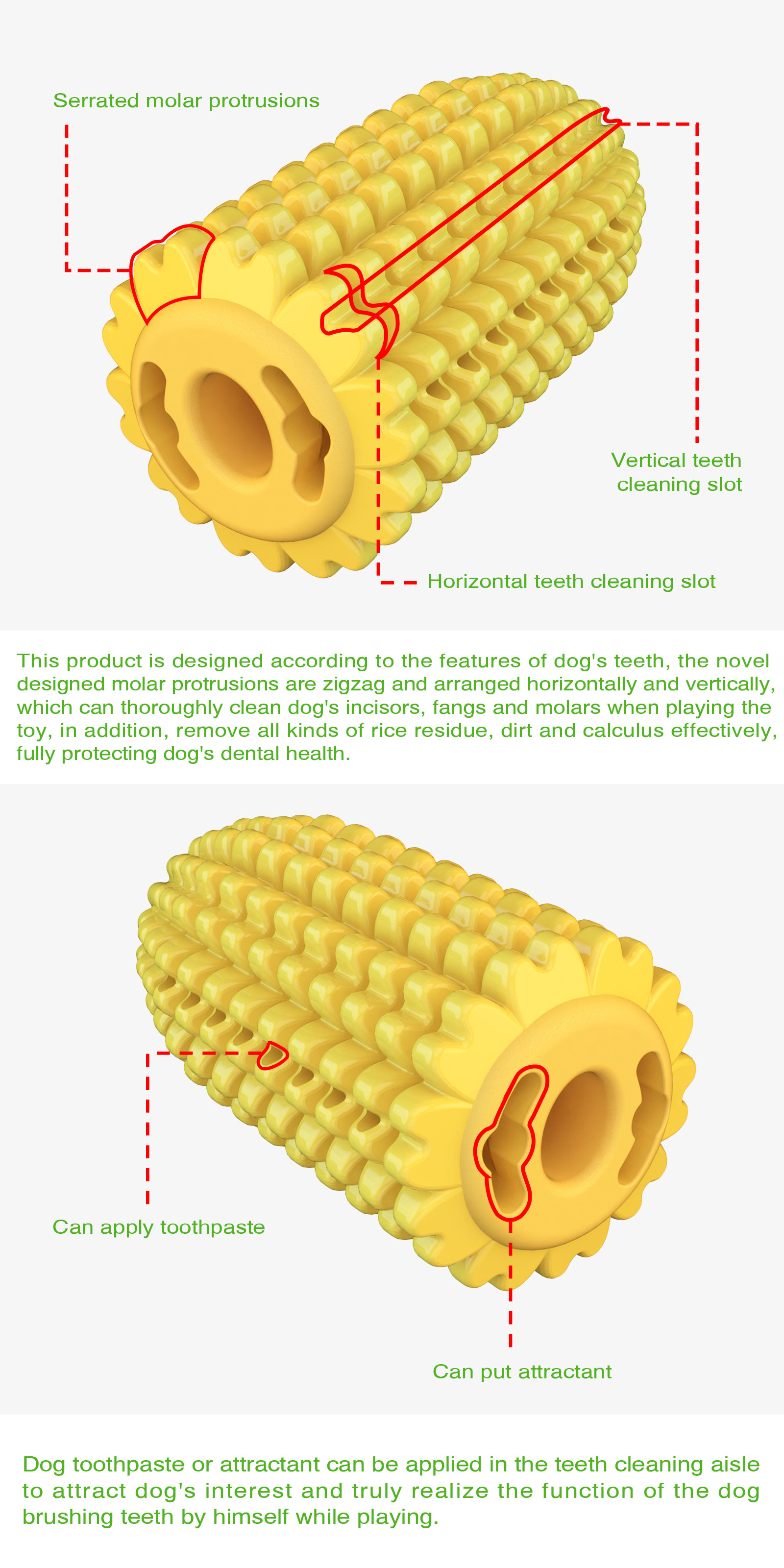 High-quality Clean Yellow Corn Molar Rod For Pet Animals With Customization