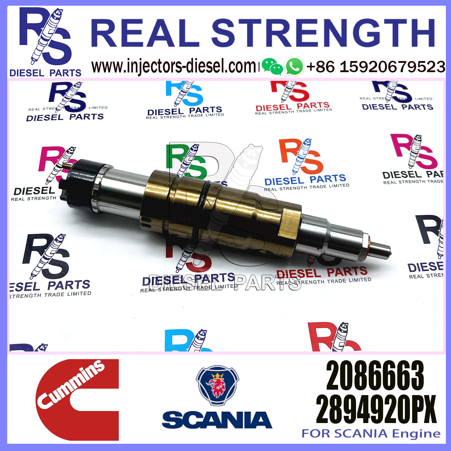 Fuel Injector Assembly 2872544 2086663 2057401 2894920PX 2058444 2872405 203183 Common Rail Injector