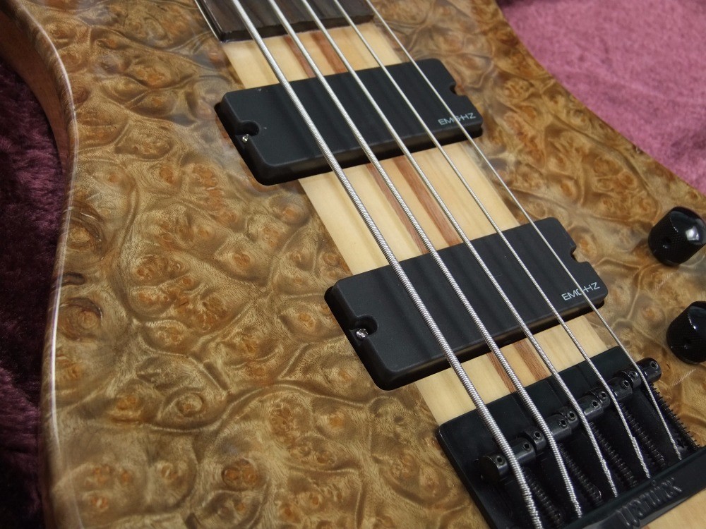 2018 new style high quality custom 5 string bass guitar, Rosewood fingerboard