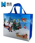 100g Eco-Friendly PPNon Woven Promotion Bag Used for Christmas Day